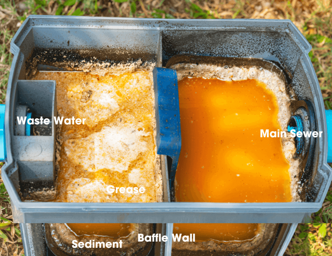 Grease Trap photo 1