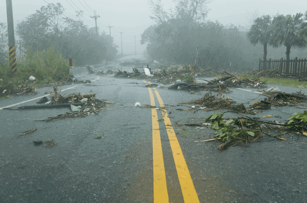 Road Debri during Typhoon
