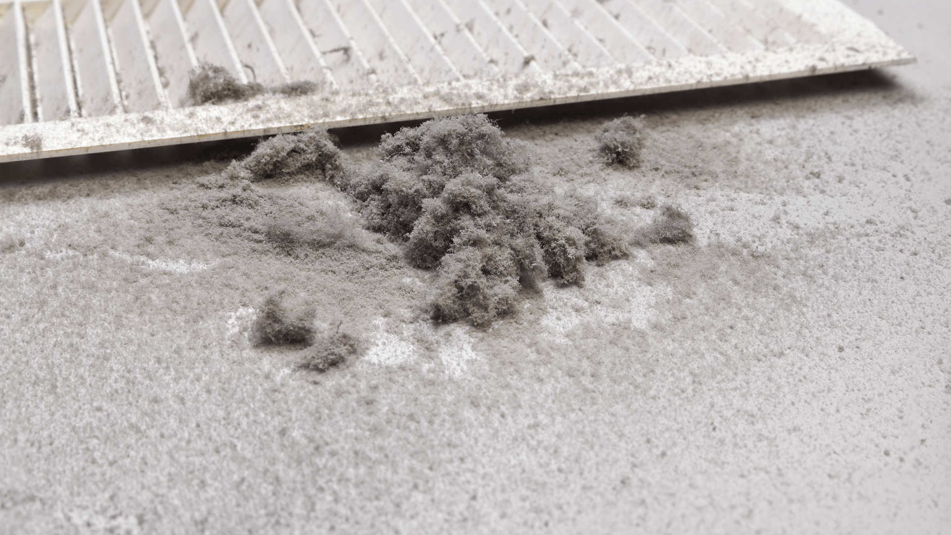Vacuum dust lingering in your ceiling fans, surface, bed, and the whole house.