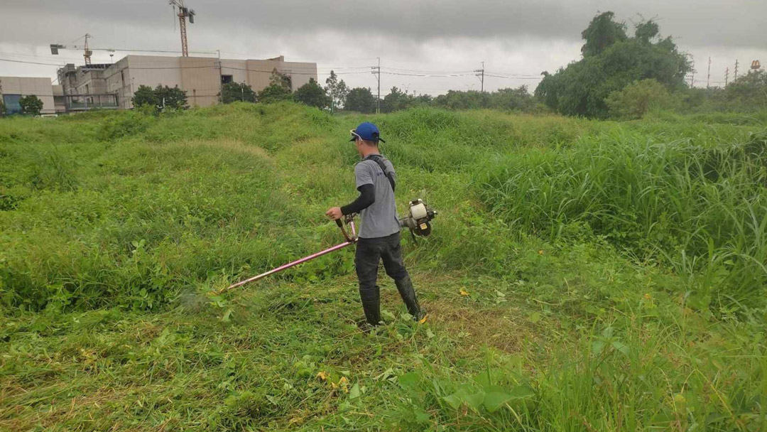 Grass cutting, lawn maintenance