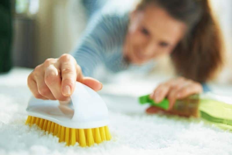  Advantages of DIY Carpet Cleaning