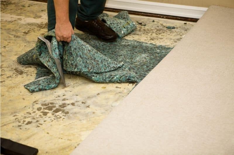 Common Mistakes in Carpet Cleaning