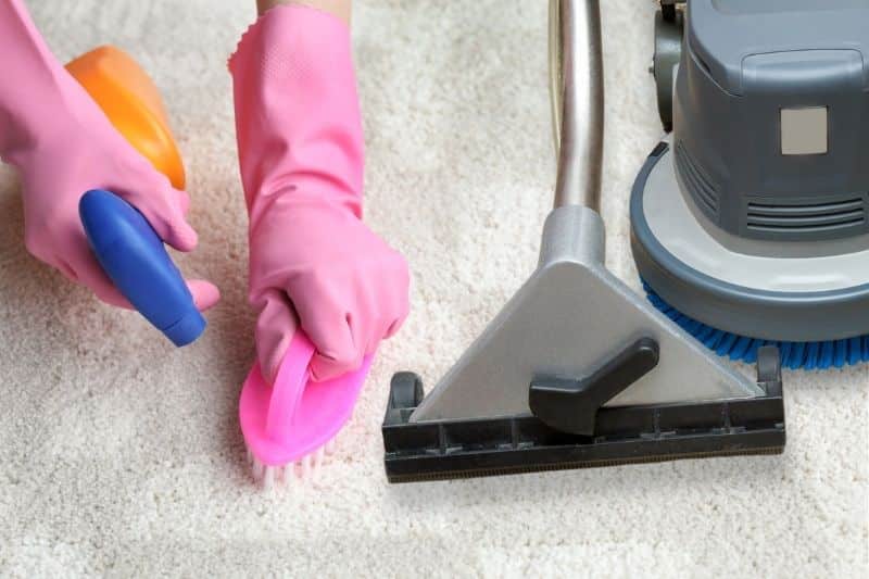  Comparing DIY vs. Professional Carpet Cleaning