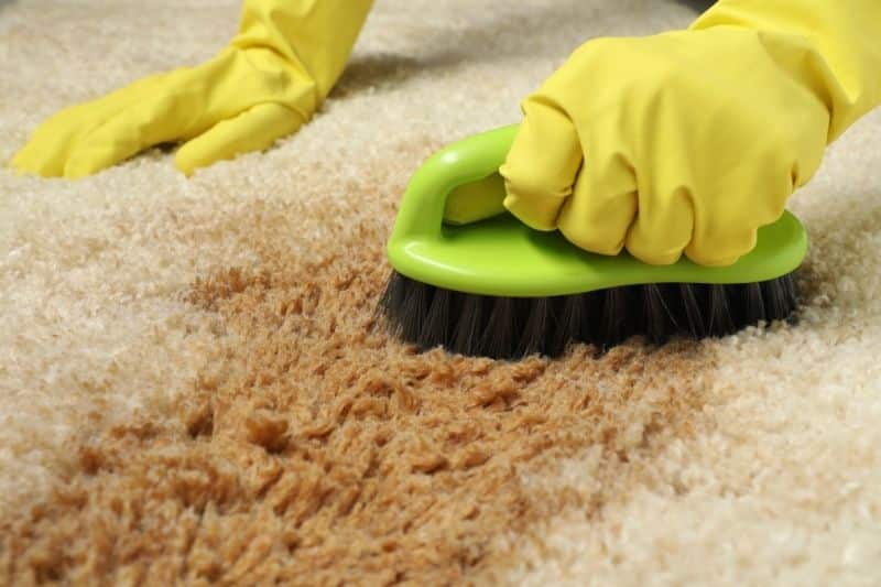  Disadvantages of DIY Carpet Cleaning