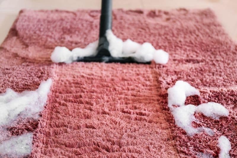 Disadvantages of Professional Carpet Cleaning