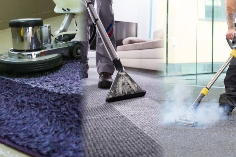  Professional Carpet Cleaning