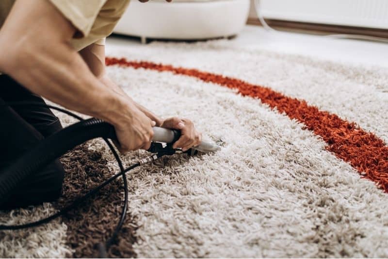 Understanding Carpet Cleaning