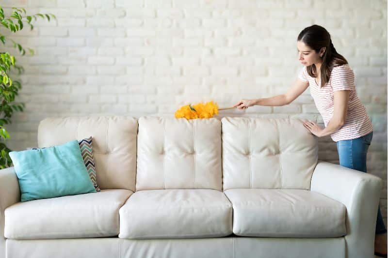 Tips for Upholstery Maintenance