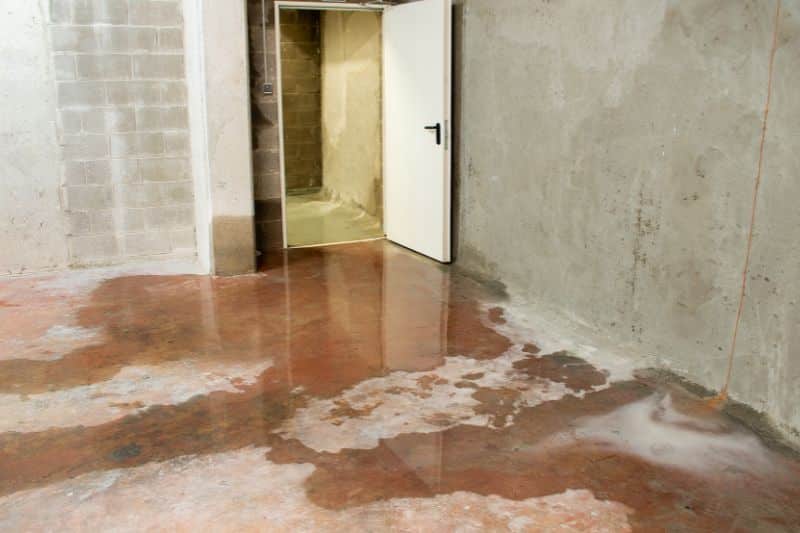 Inspect Sump Pumps