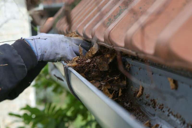 Maintain Gutters and Downspouts