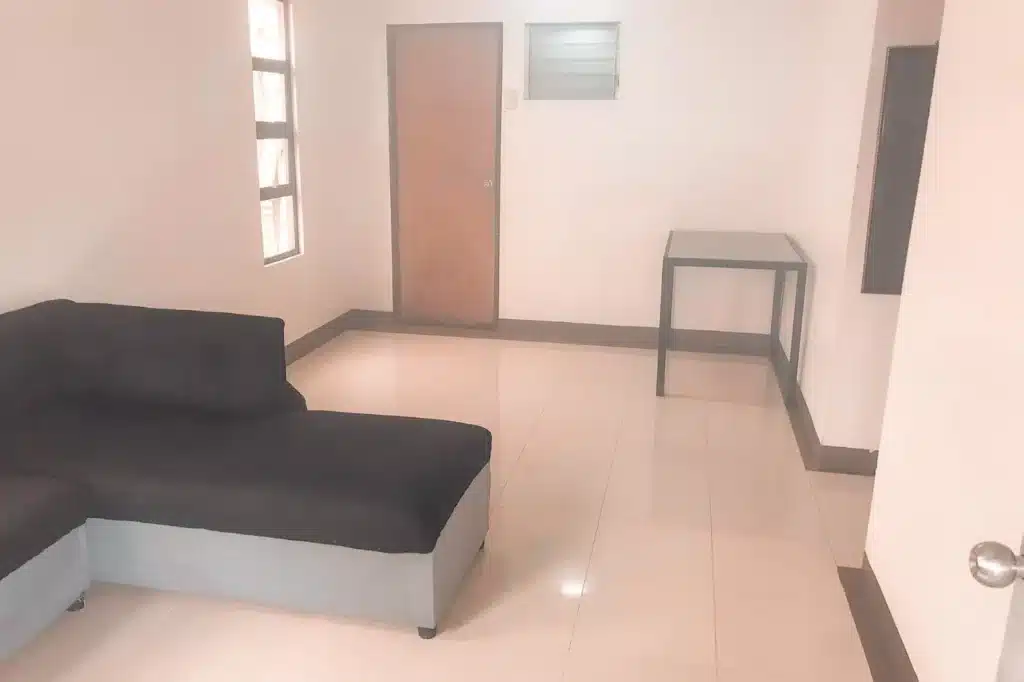 a clean house without a mold