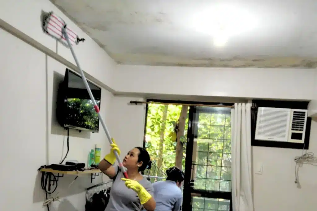 two people engaged in cleaning a mold-affected ceiling inside a home.