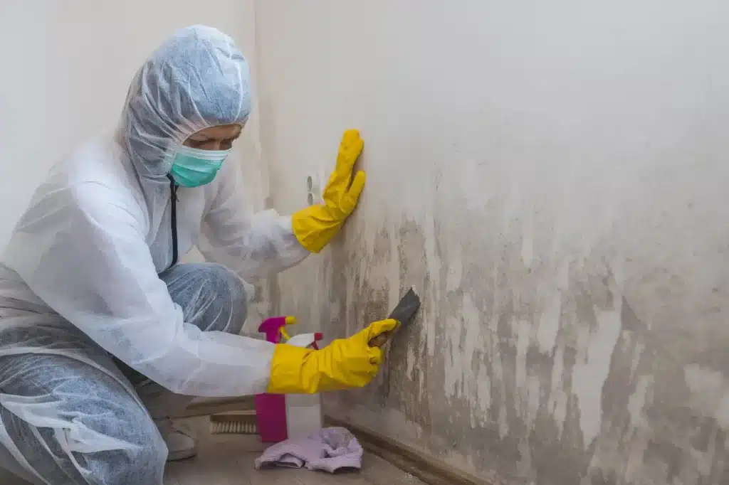 a person cleaning a wall with mold 