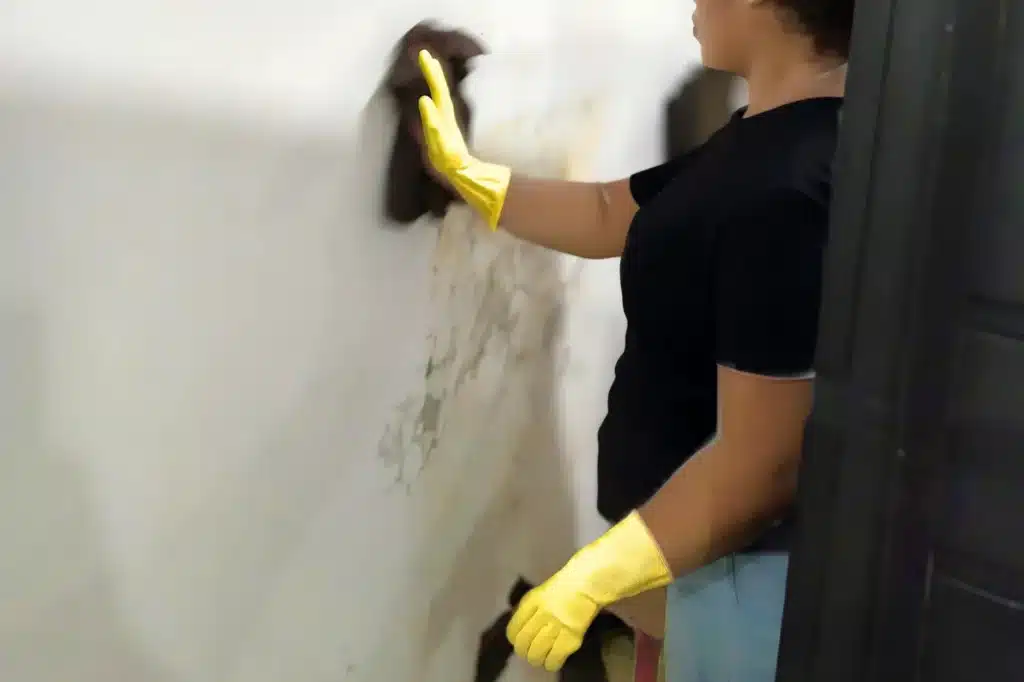 person cleaning a moldy and water-damaged wall using a cloth or sponge