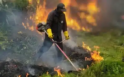 The Role of Grass Cutting in Fire Prevention and Home Safety