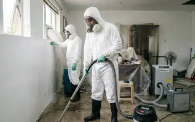 Prevent Rainy Season Mold Before It Starts